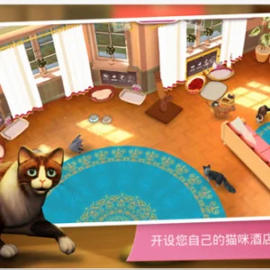 猫奴必备 猫咪客栈