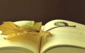 为什么很少有成功的创业者来自寒门