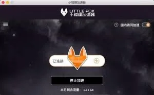 littlefox