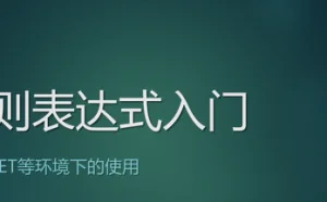 正则表达式入门、高阶以及网络爬虫视频教程