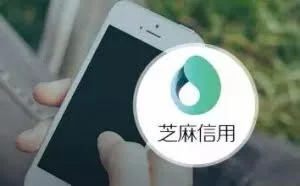 支付宝的芝麻信用分这么强大！
