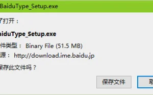 突破网站与浏览器的下载限制