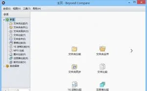 BCompare v4.1.4 简体中文绿色特别版