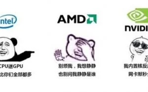 Intel为什么放弃Nvidia转向AMD？