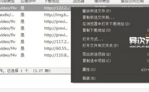 VideoCacheView - 轻松揪出并保存浏览器缓存里的在线播放视频文件的免费小工具！