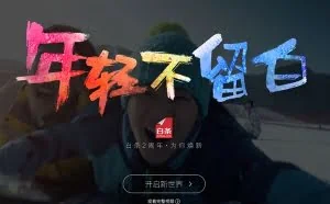 京东白条宣布“独立”：正式启用baitiao.com