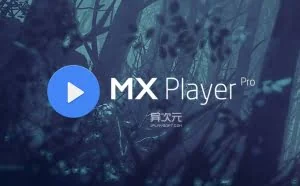 MX Player Pro - Android 安卓手机最强万能格式视频播放器