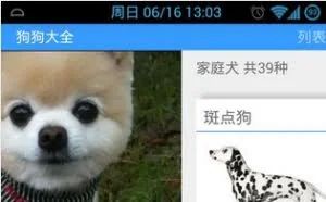 狗狗大全 – 宠物知识应用