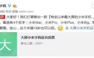 小米公布全新手机：史上最大屏小米手机