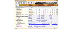 PartitionGuru Professional 4.8.0
