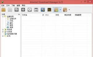 IDM v6.25.16 绿色特别版