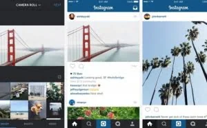 Instagram刚向一位10岁芬兰黑客支付了10000美金