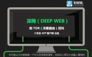 一张图让你了解“深网”与“Tor网络”