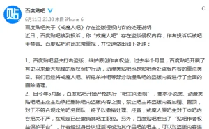 贴吧盗版复出 百度做出全面删除清理