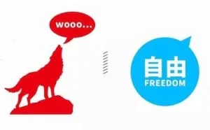 华为 VS 腾讯工作的区别！