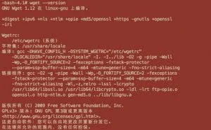 Wget漏洞（CVE-2016-4971）利用方式解析