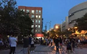 新西兰年轻人辞职专职捉拿口袋妖怪