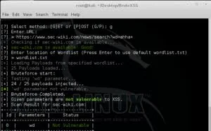 BruteXSS：XSS暴力破解神器
