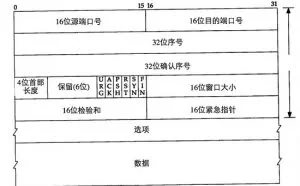 TCP 部首的简单学习