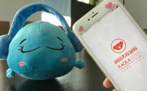 考拉海购被曝泄露用户信息