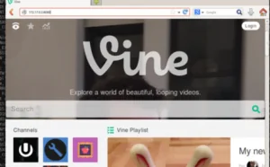 黑客可利用Docker漏洞下载Twitter Vine的完整源码