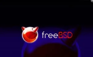 FreeBSD 11.0 Beta 3发布， 正式版于9月2日上线