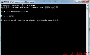 ngrok内网映射到外网的工具使用