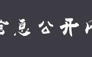 用这四种方法找资料，你懂的