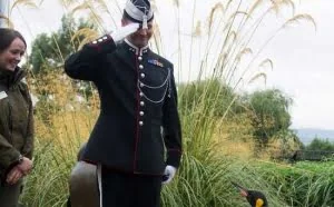 挪威帝企鹅晋升准将 士兵也得向它行礼