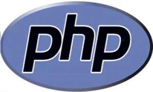 php解决和避免form表单重复提交的几种方法