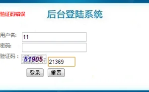 男子网贷提供验证码受骗 1.3万元被悉数转走