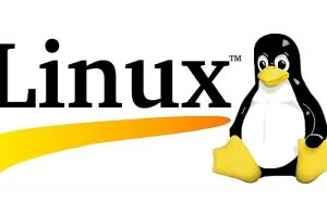 在Linux环境下mysql的root密码忘记解决方法