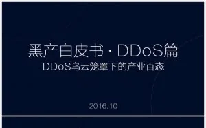 DDoS ——乌云笼罩下的产业百态
