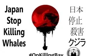 海豚捕杀季引发“匿名者”新一轮的DDoS攻击