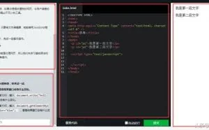 两个在线学习编程的网站