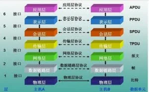基础的计算机网络知识
