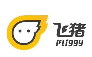 阿里旗下的飞猪首次亮相双11 全天交易额达21.7亿元