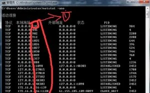 网络中信息的传递与端口号你知道多少