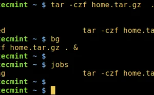 如何在后台运行 Linux 命令并且将进程脱离终端