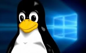 Linux基金会：微软现在无法杀死Linux