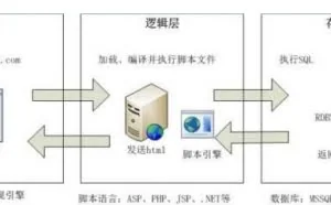SQL注入基础入门
