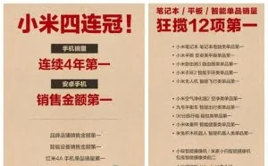 晒单打脸 小米/华为/魅族双十一成绩公布