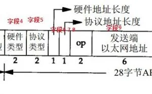 TCP/IP协议——ARP详解