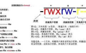 Linux的一些简单命令(四)-用户和组账户管理