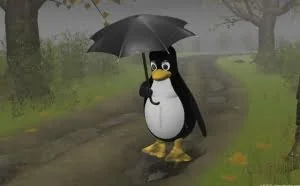 Linux下使用cat命令浏览正文文件