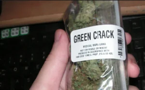 医用大麻项目数据库漏洞导致上万名美国民众的地址和社保号泄露