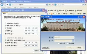 双网卡共享上网