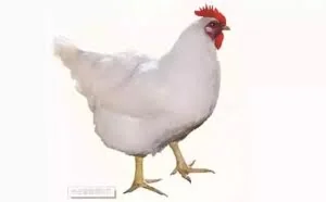 简单了解几个常用黑客术语