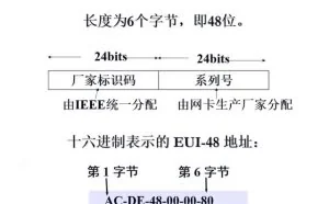 MAC地址详解！