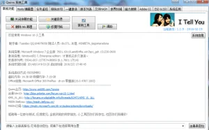 Win10小工具Qwins v1.5.5
